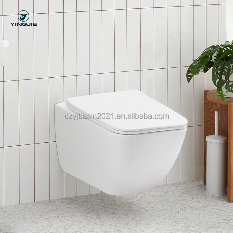 Toilet,Standard Toilet Bowl Se – P & C Home Textiles Usa recenzja i cena