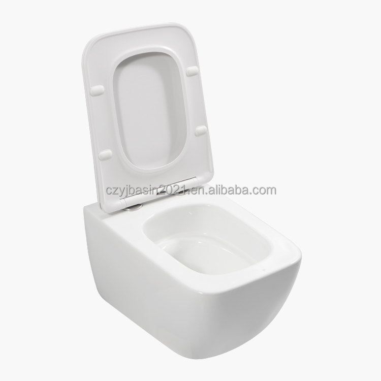 Toilet,Standard Toilet Bowl Se – P & C Home Textiles Usa recenzja i cena