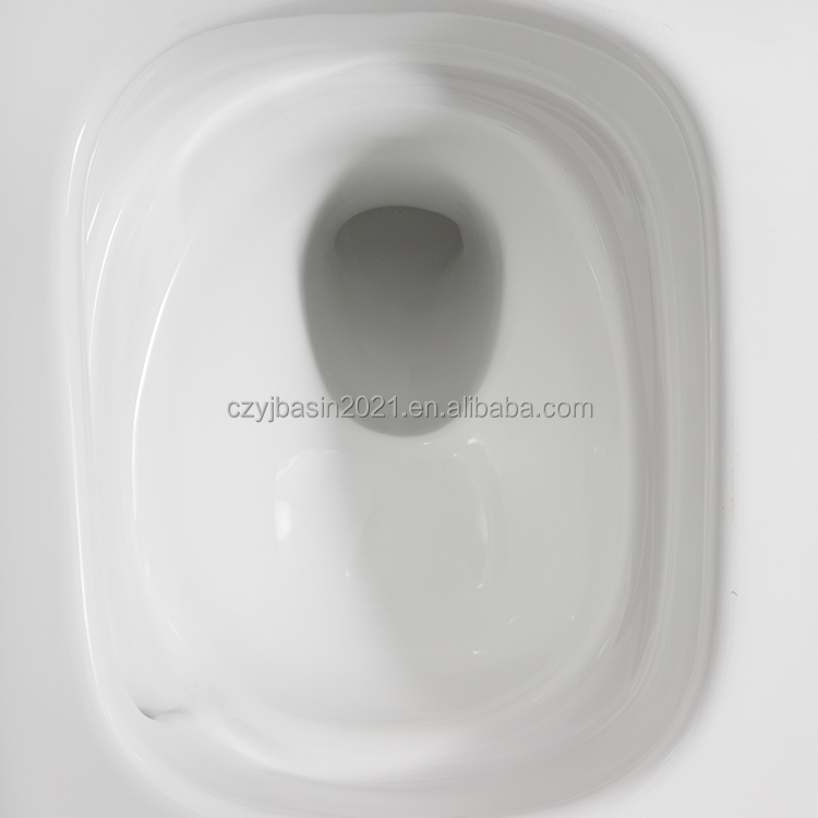 Toilet,Standard Toilet Bowl Se – P & C Home Textiles Usa recenzja i cena