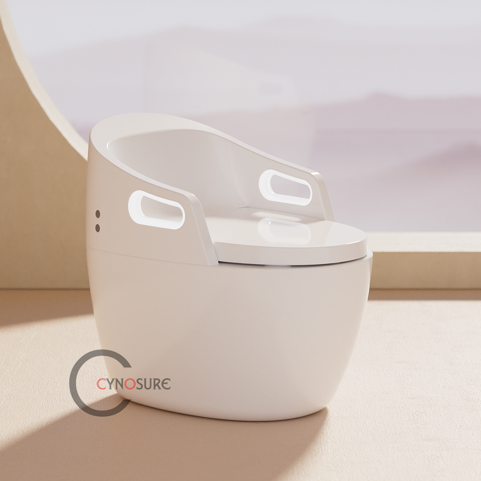 Toilet,New Design Massage Func – P & C Home Textiles Usa recenzja i cena