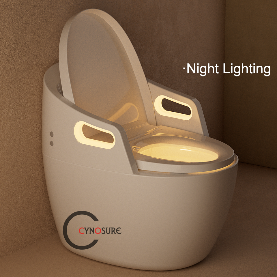 Toilet,New Design Massage Func – P & C Home Textiles Usa recenzja i cena